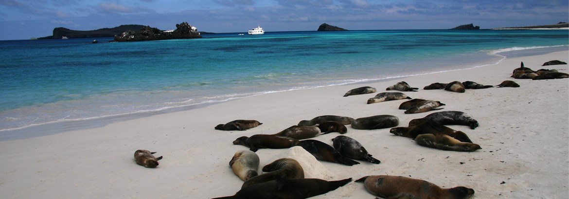 Galapagos Conservation Trust